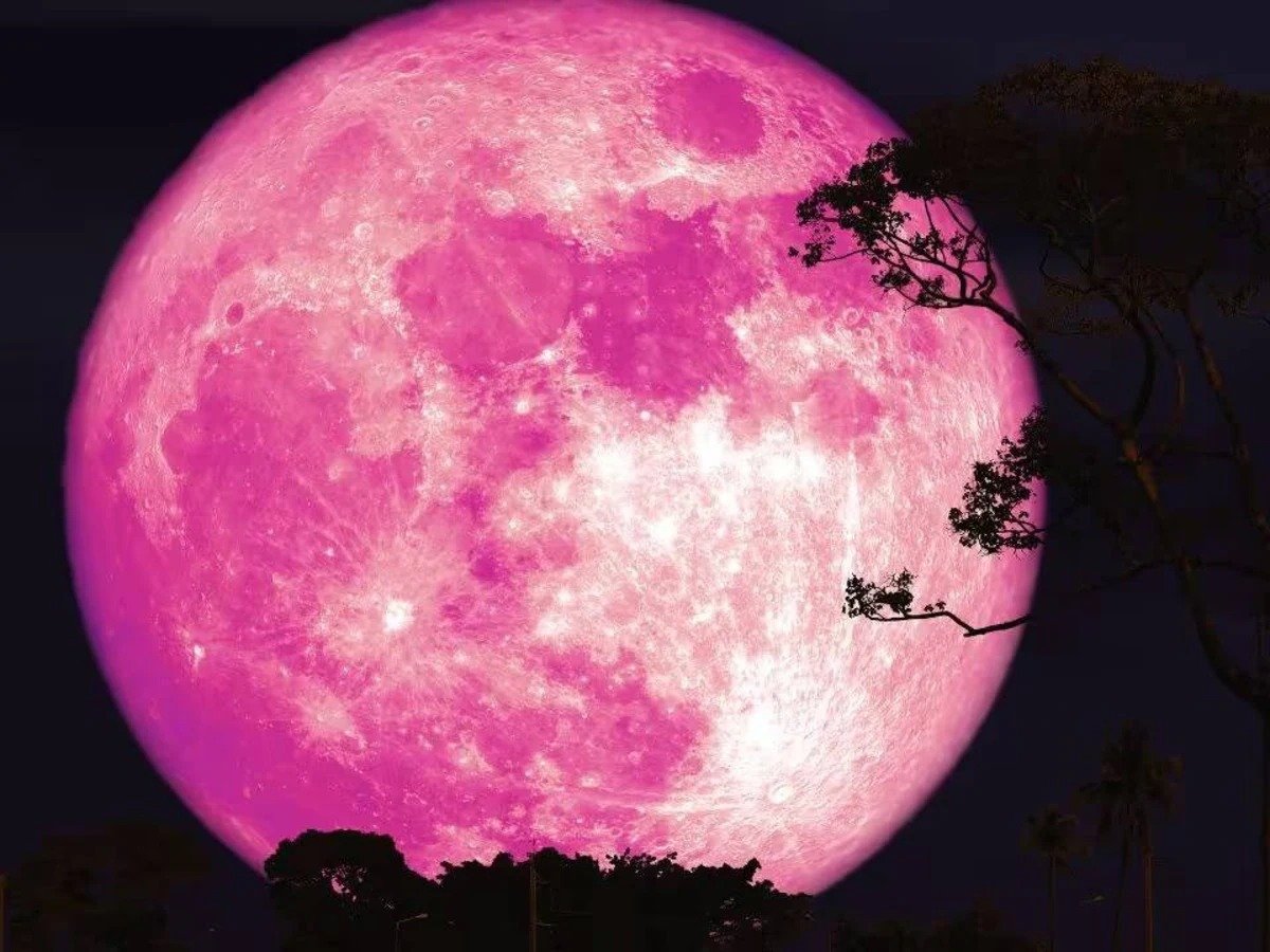 amazing sight of 'Pink Moon' will be seen in sky in India
