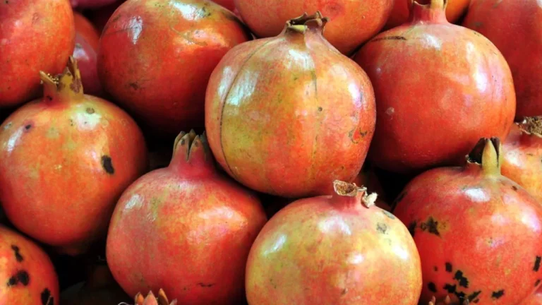 Indian Pomegranate: अमेरिका में पहुंचा भारतीय अनार, टैरिफ वॉर में घुली मिठास...