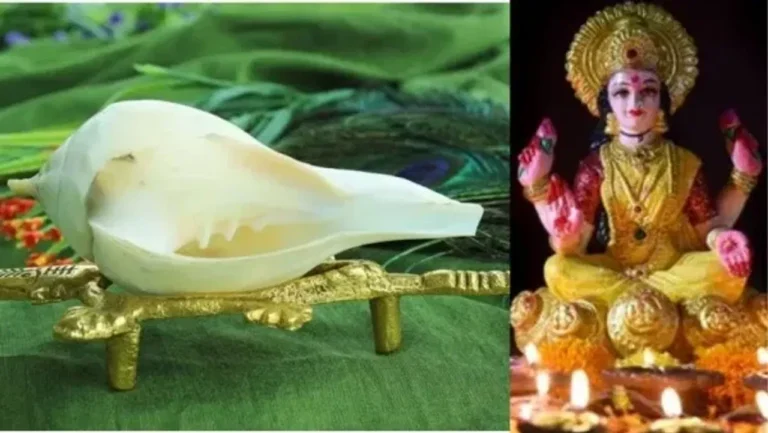Importance of Shankh : लक्ष्मी नारायण पूजा में शंख का महत्व, क्यों बिना शंख अधूरी मानी जाती है पूजा...