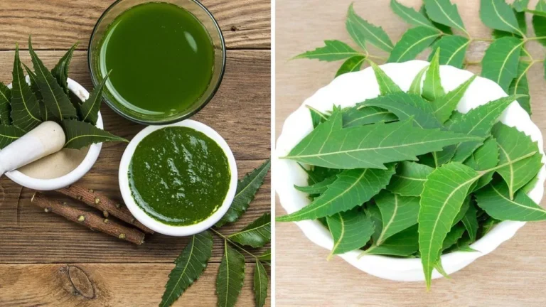 Skin Care Tips: गर्मियों में रखें त्वचा का खास ख्याल, नीम से बनाएं फेसपैक और पानी, पाएं चमकदार और साफ त्वचा