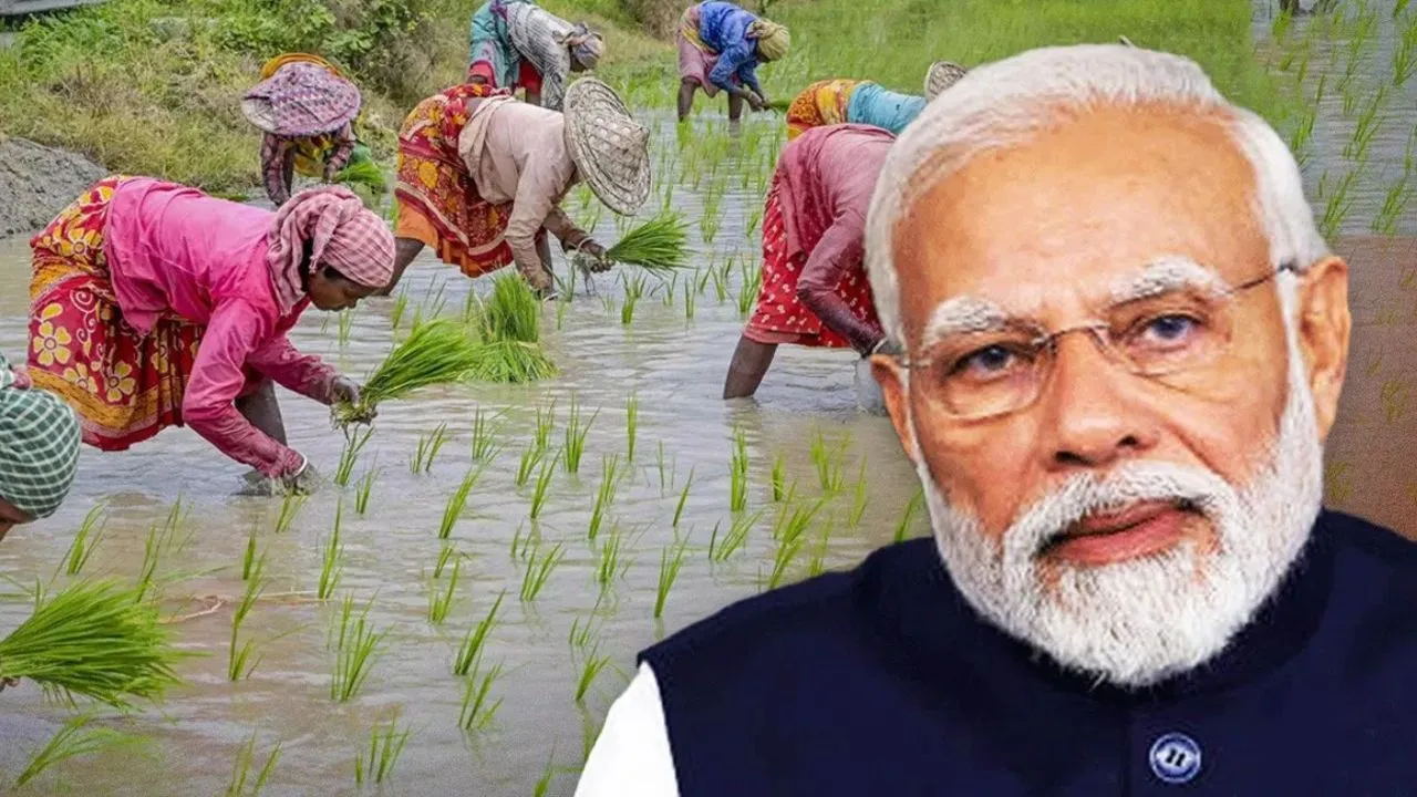 PM Modi Cabinet Meeting