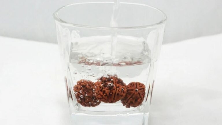 Rudraksha Water : रुद्राक्ष का पानी पीने से मिलते हैं ये स्वास्थ्य लाभ, जानिए आयुर्वेदिक चमत्कार
