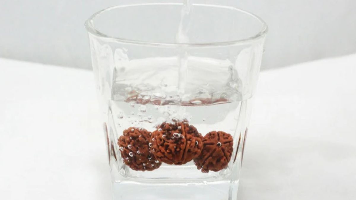 Rudraksha Water : रुद्राक्ष का पानी पीने से मिलते हैं ये स्वास्थ्य लाभ, जानिए आयुर्वेदिक चमत्कार