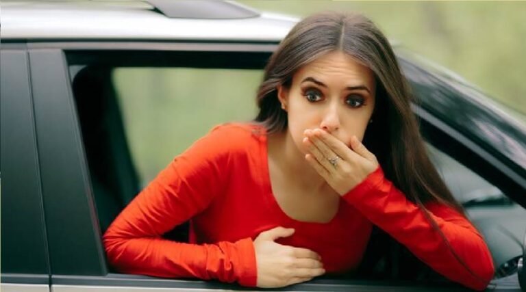 Nausea While Traveling: सफर में उल्टी और चक्कर की समस्या से है परेशान तो अपनाएं ये आसान घरेलू उपाय
