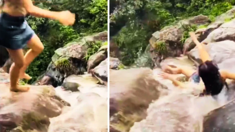 Viral Video: