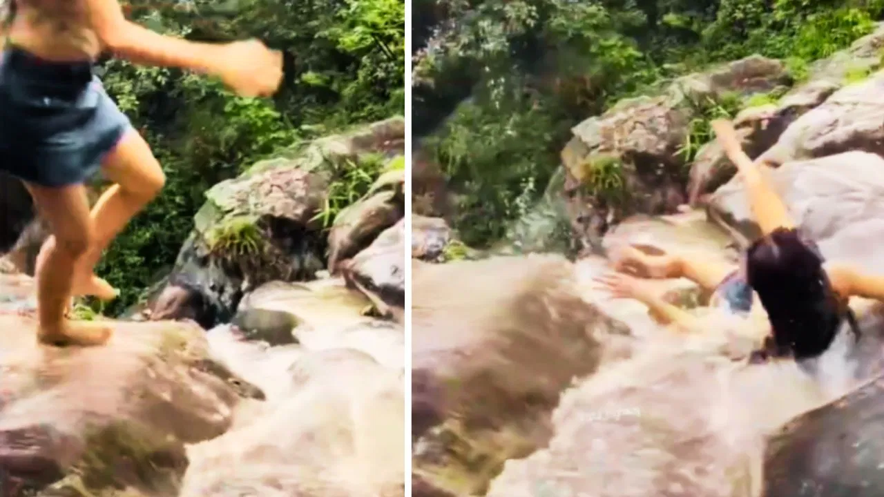 Viral Video:
