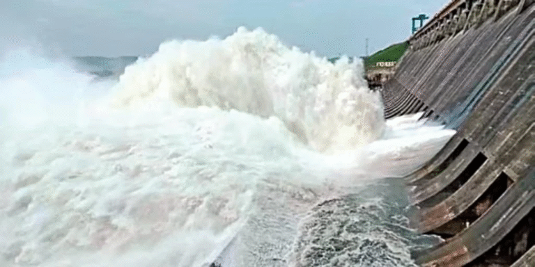 Odisha News