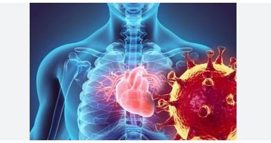 Covid vaccines Are people dying suddenly due to corona vaccines AIIMS and ICMR study revealed this reason.