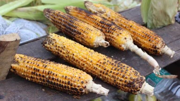 Benefits of eating corn