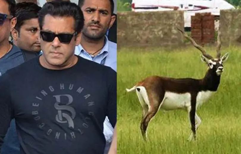 Rajasthan News: काला हिरण शिकार मामले में सुनवाई 22 सितंबर को, हाईकोर्ट में अब सलमान खान की ट्रांसफर पिटीशन और सरकार की लीव टू अपील की साथ होगी सुनवाई