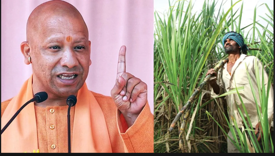 Screenshot 2025-07-26 115933