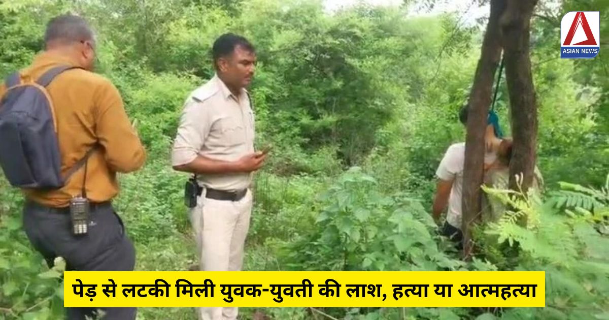 MP News