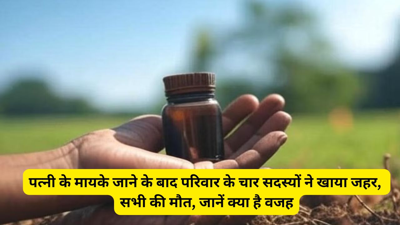 MP News