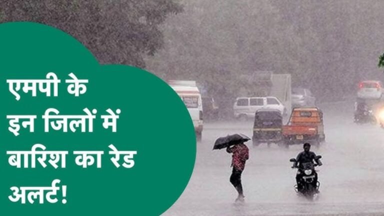 MP Weather News