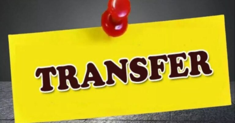 MP Transfer