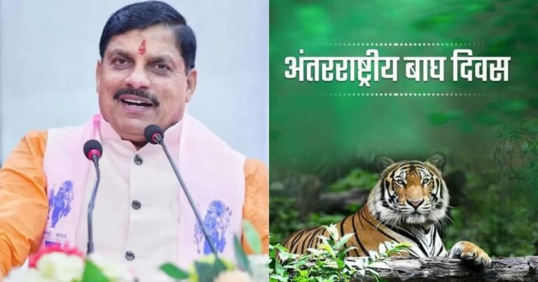 MP News