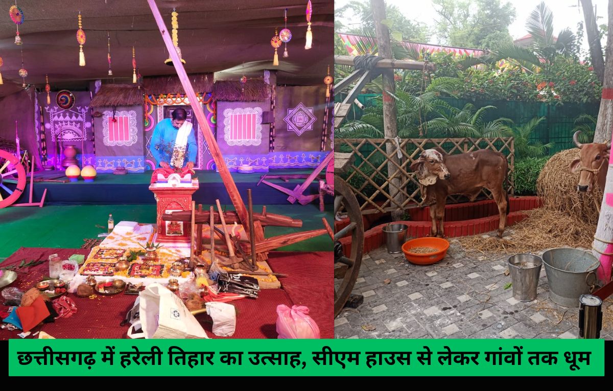 Hareli Tihar: छत्तीसगढ़ में हरेली तिहार आज, सीएम हाउस से लेकर गांवों तक धूम Hareli Tihar: छत्तीसगढ़ में हरेली तिहार आज, सीएम हाउस से लेकर गांवों तक धूम