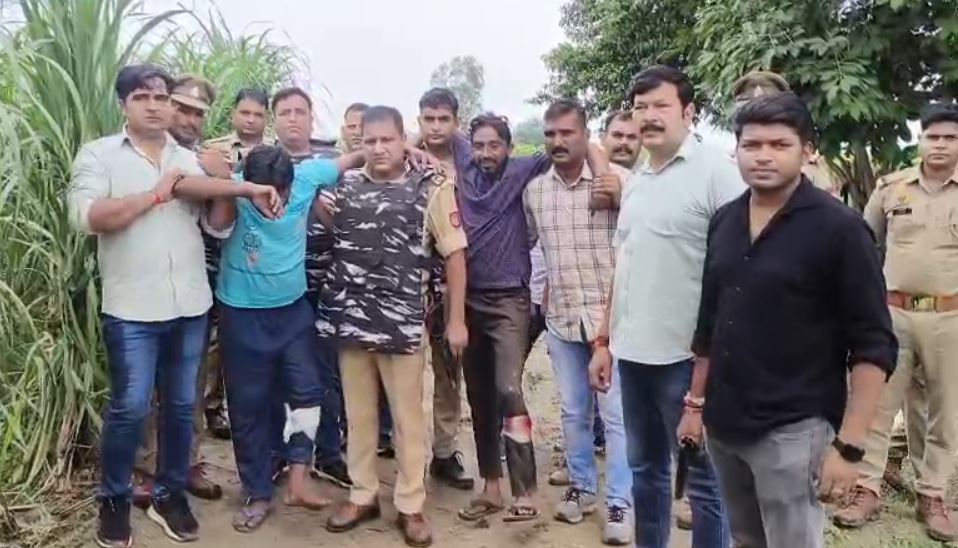 MP News MP News