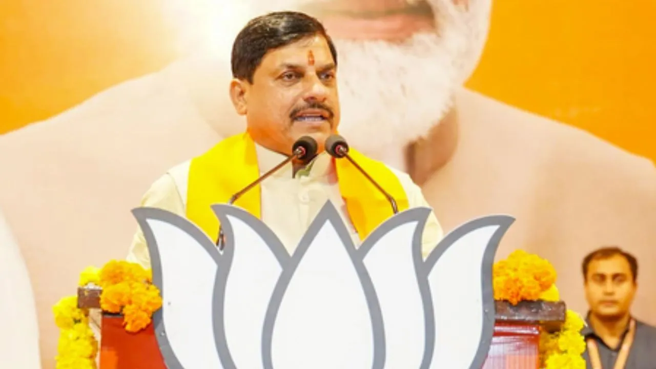 MP News