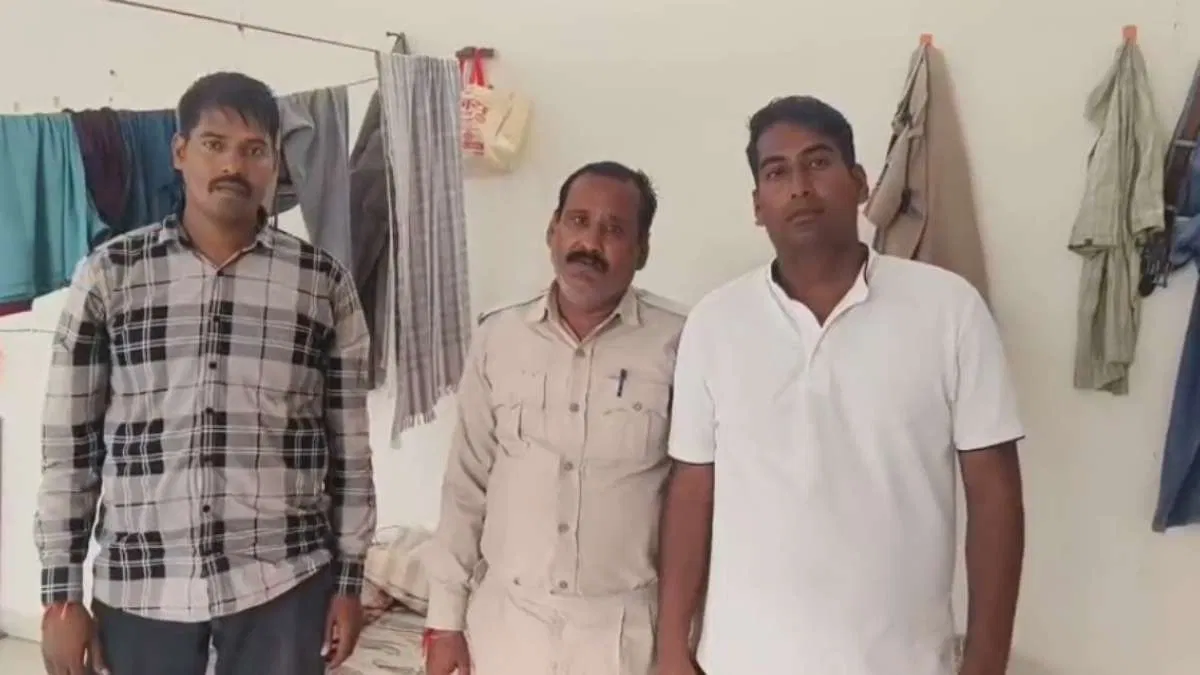 MP News MP News