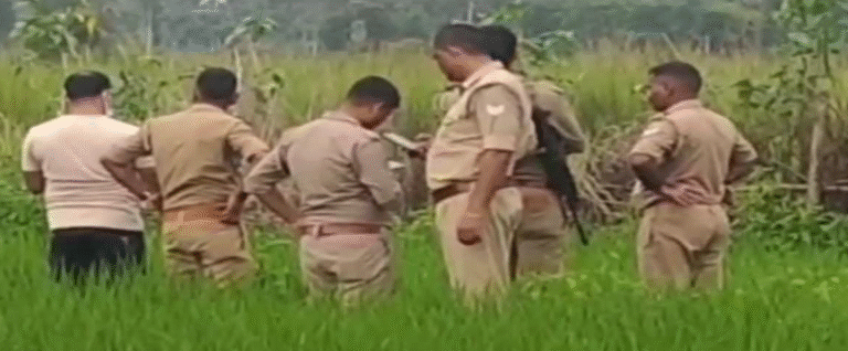 UP Crime
