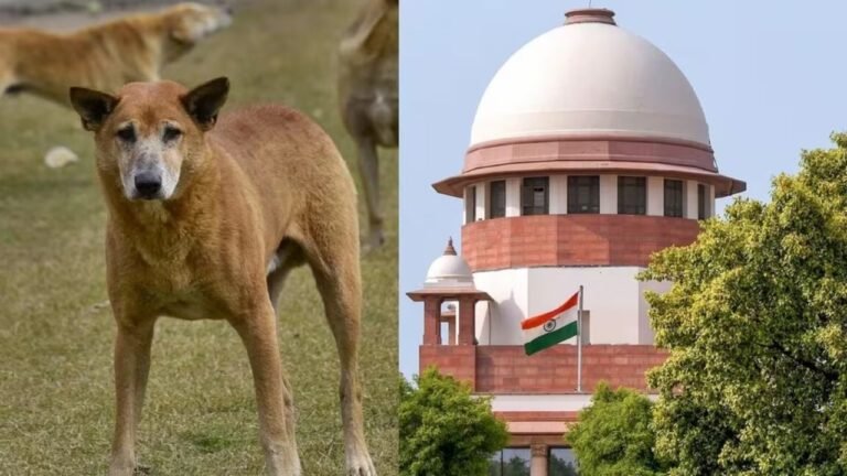 Supreme Court