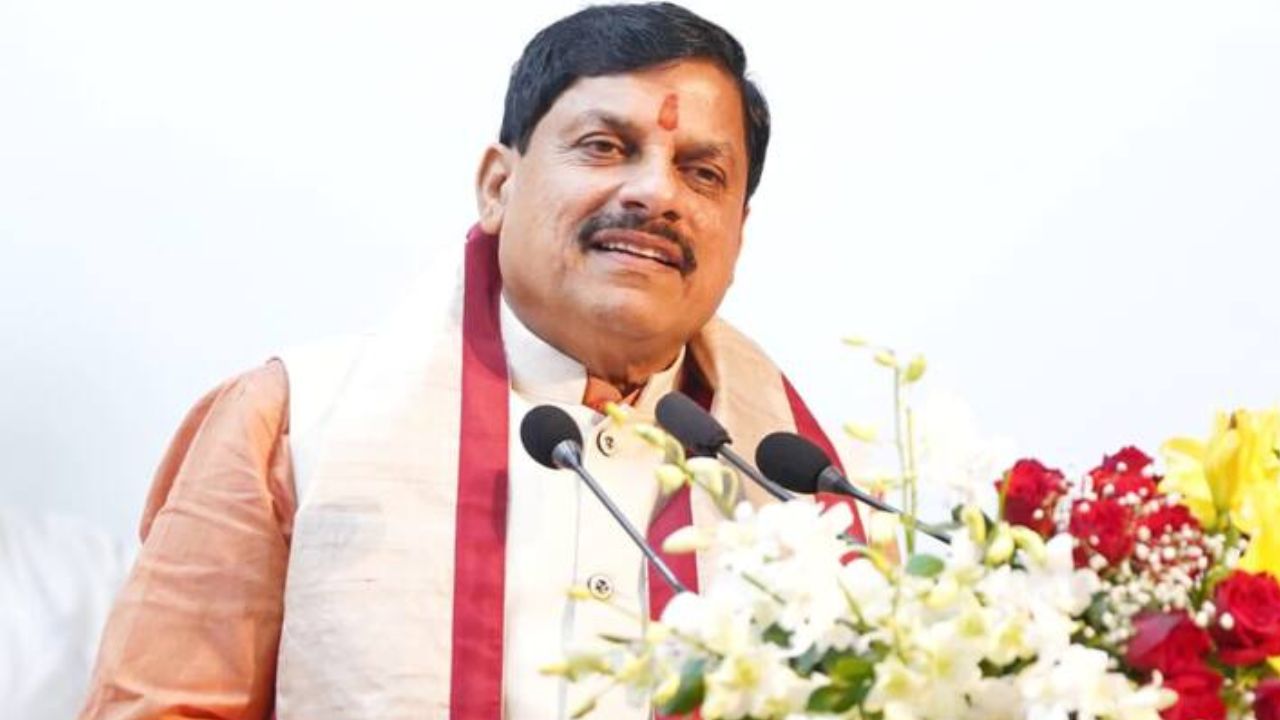 MP News MP News
