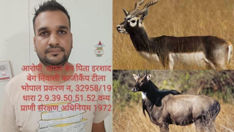 MP News
