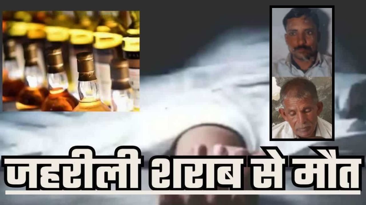 UP News