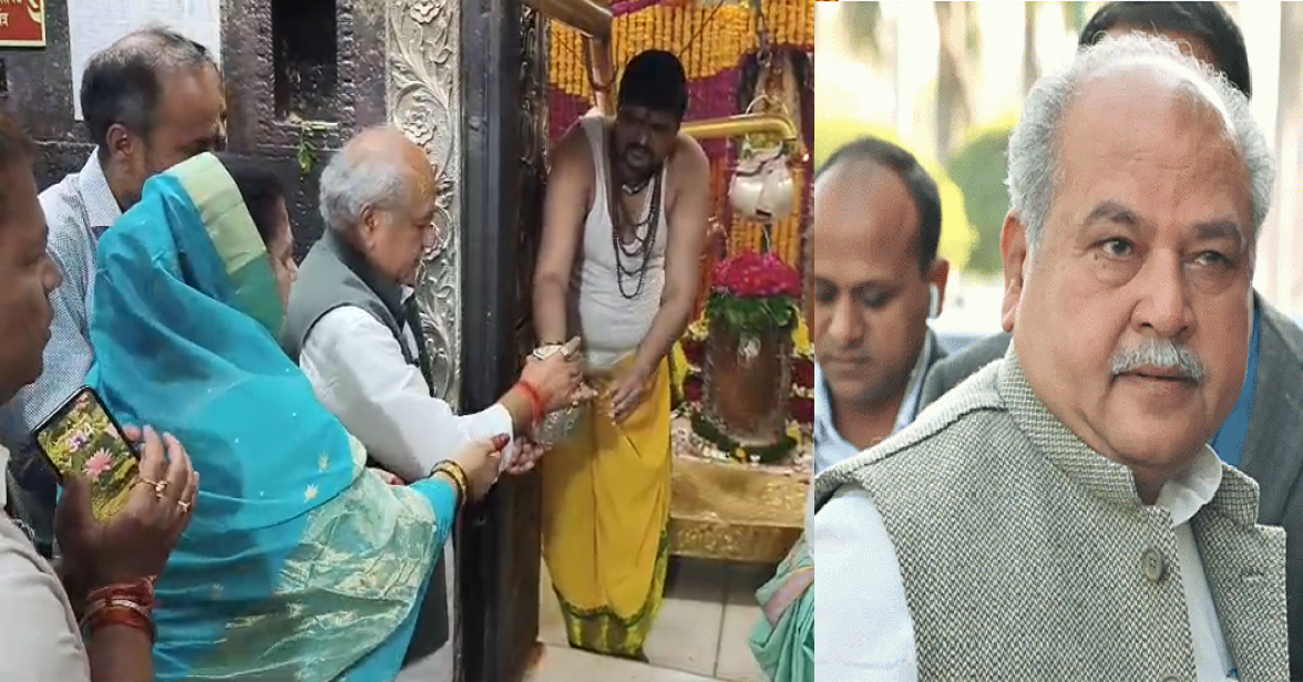 MP News MP News