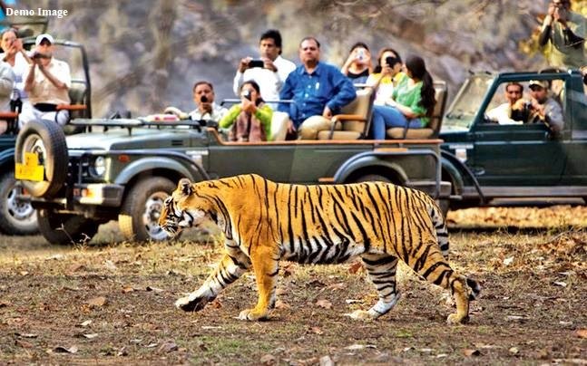 Ranthambore Tiger Reserve