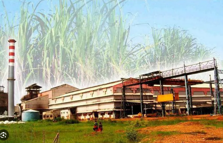 CG News: कवर्धा के गन्ना किसानों के लिए ऐतिहासिक फैसला, भोरमदेव शक्कर कारखाना अब गैर-अंशधारी किसानों को भी देगा सदस्यता...