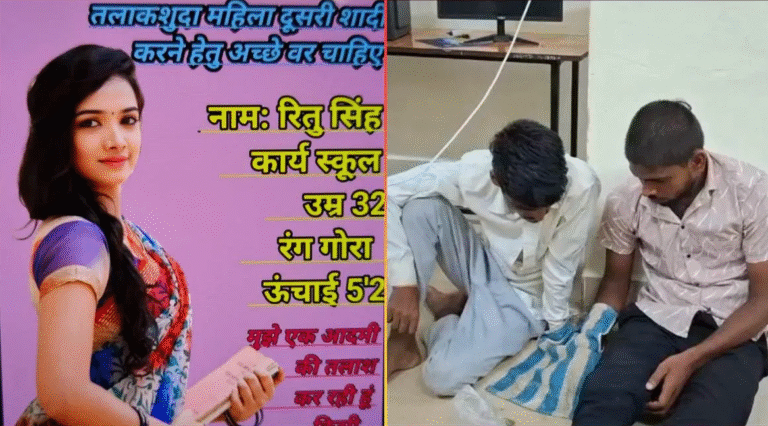 MP News