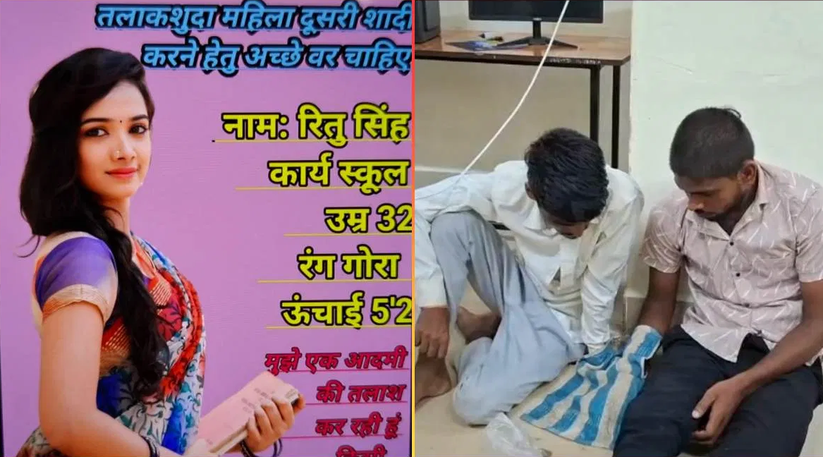 MP News