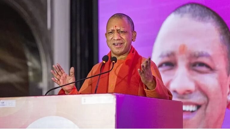 yogi