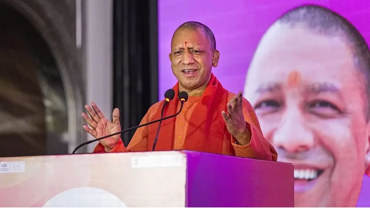yogi