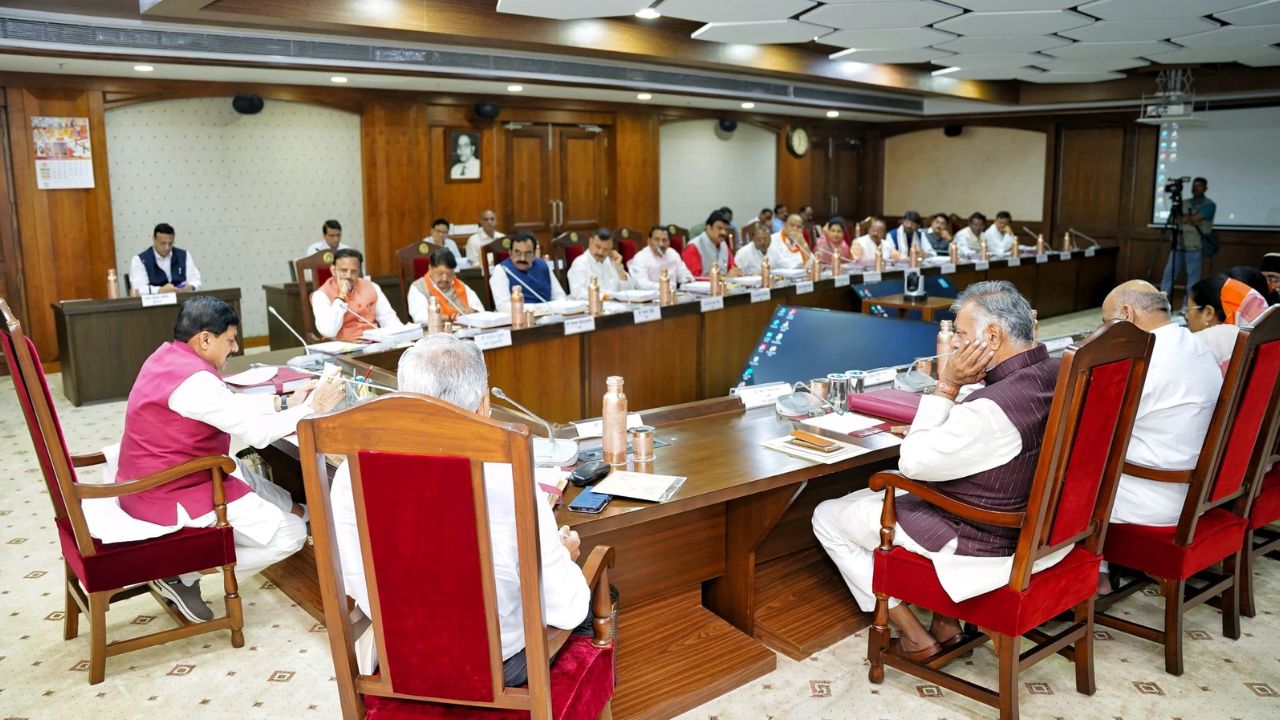 MP News