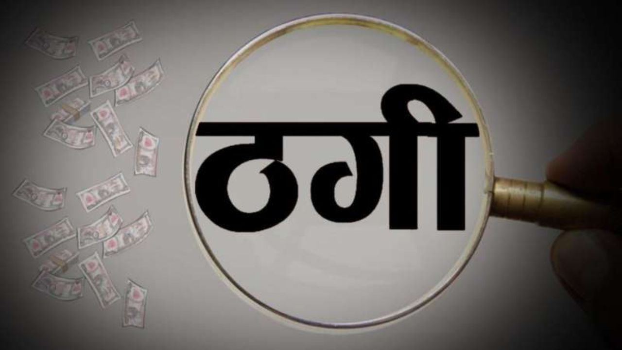 MP News
