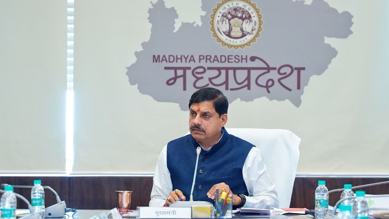 MP News