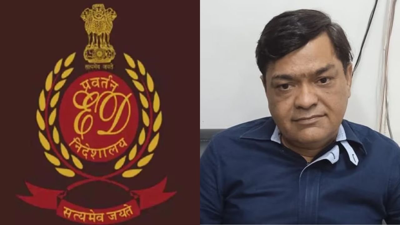 UP News