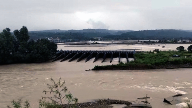Flood in Punjab