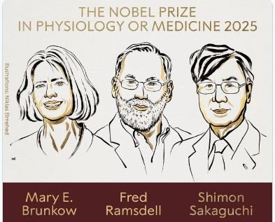Nobel Prize 2025: मैरी ई. ब्रुनको, फ्रेड रामस्डेल और शिमोल साकागुजी को मिलेगा नोबेल पुरस्कार, मेडिसिन के क्षेत्र में इन कार्यों के लिए अवार्ड