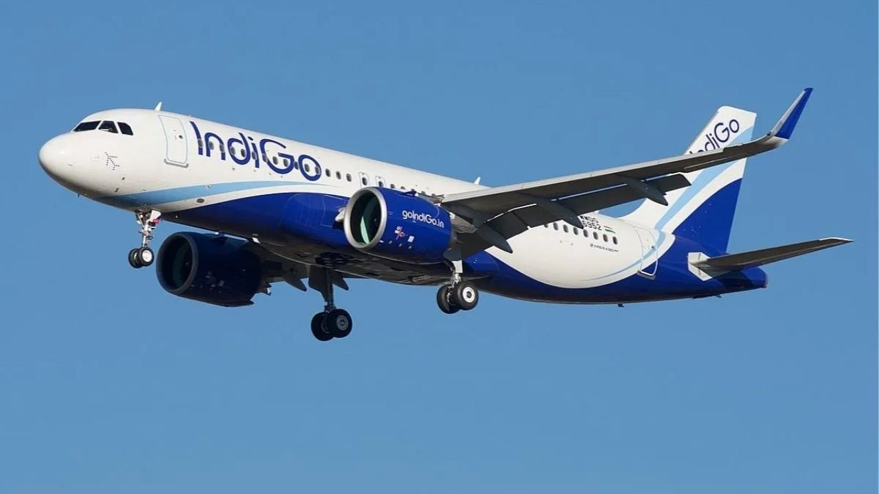 indigo flight