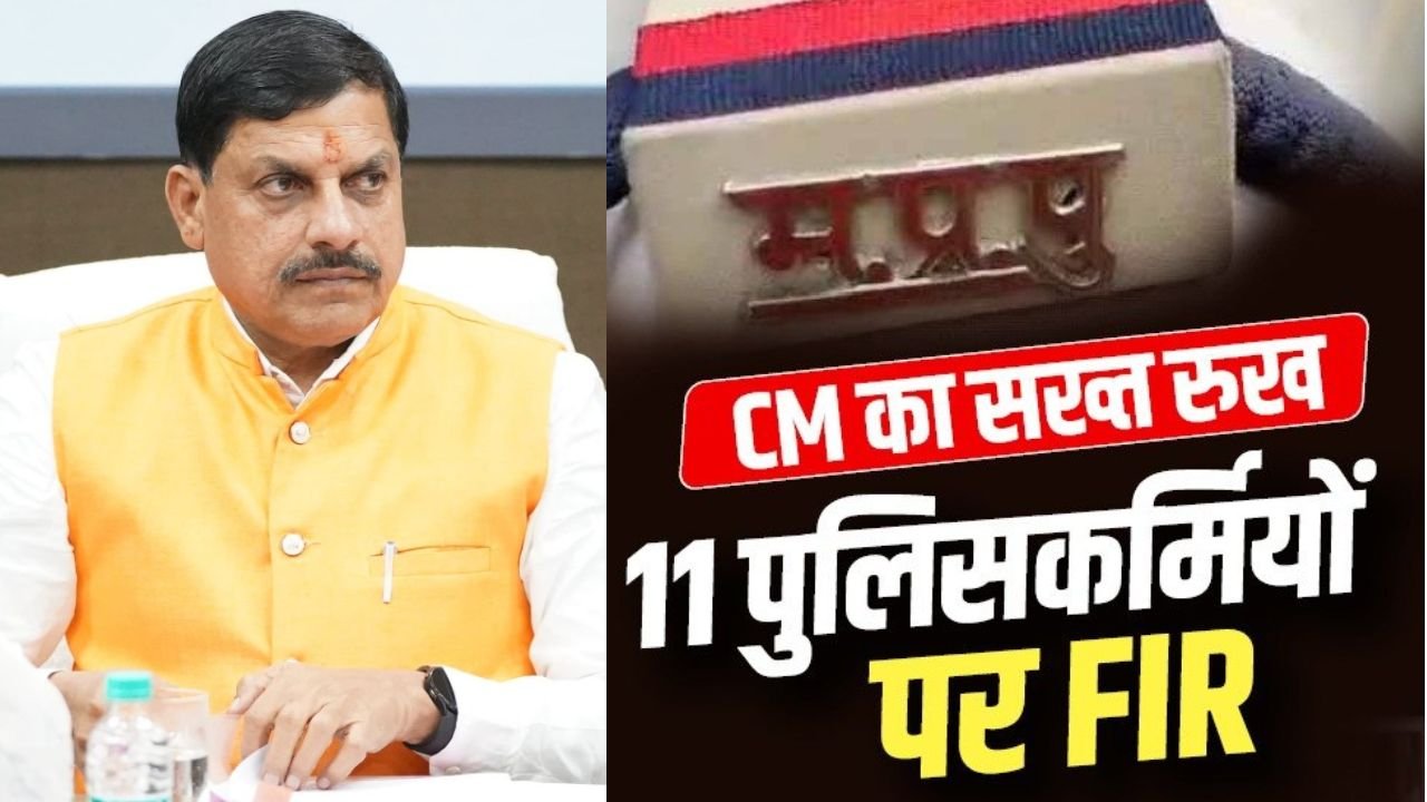 MP News