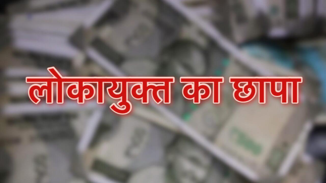 MP News MP News