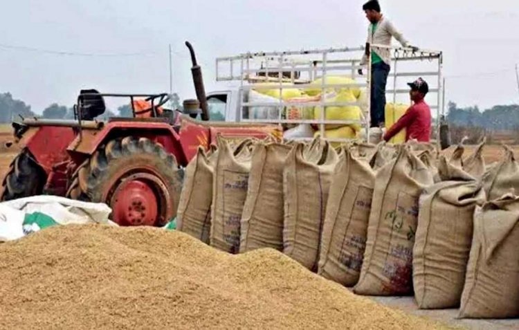 CG Paddy Purchase: छत्तीसगढ़ में धान खरीदी शुरु, अधिकारी-कर्मचारी नदारद, टोकन नहीं मिलने से किसान परेशान
