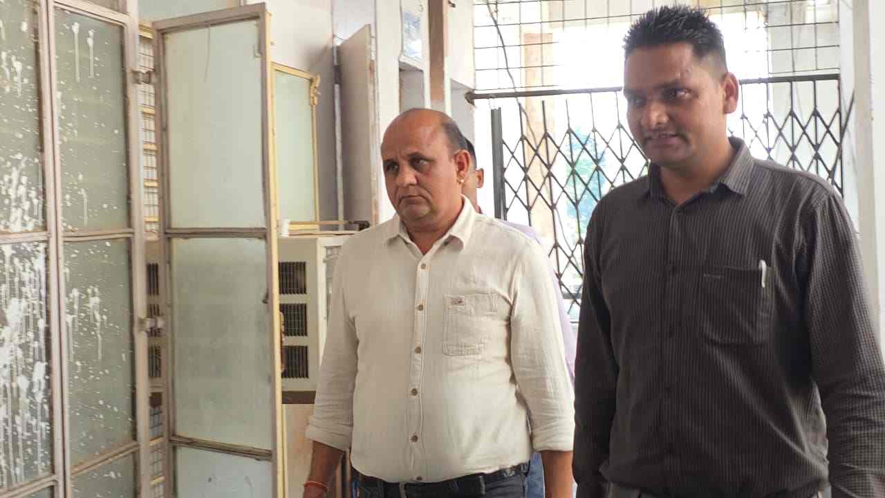 MP News MP News