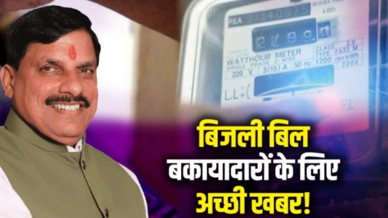 MP News MP News