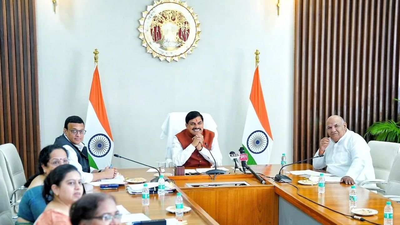 MP News