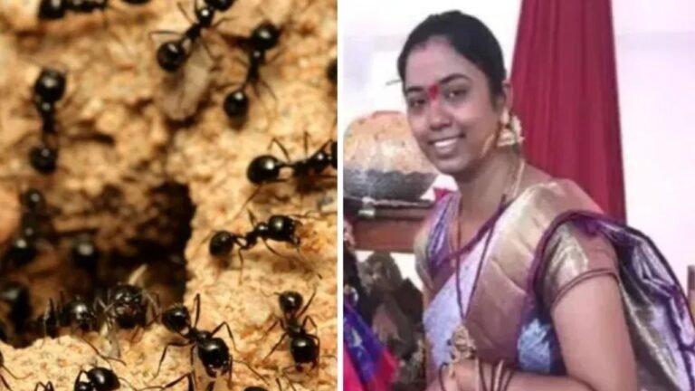 चींटियों के डर से 25 वर्षीय महिला ने की आत्महत्या, सुसाइड नोट में लिखा ‘इनके साथ नहीं रह सकती’